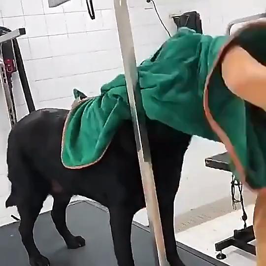 Ultra-absorberende huisdierbadjas met verdikte superfijne vezels, sneldrogende handdoek