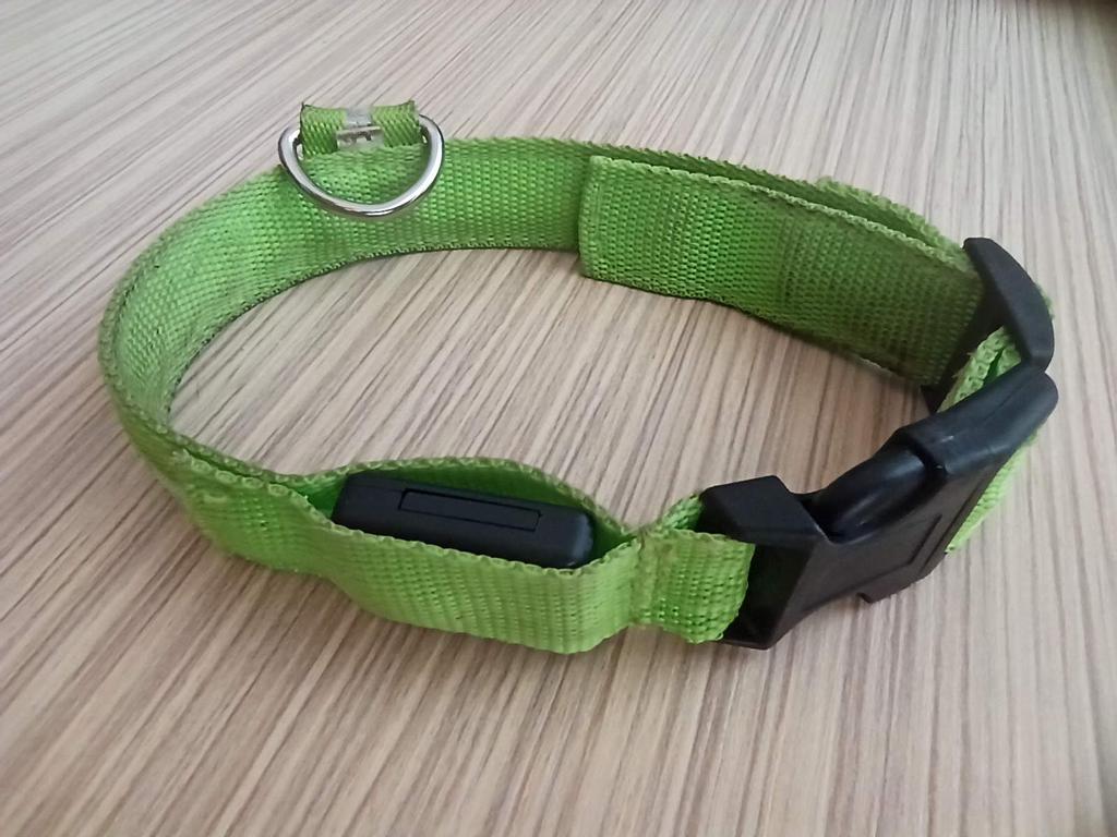 dog collar light rechargeable