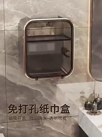 Porta fazzoletti trasparente, cassetto di carta perforato da parete, porta carta igienica, porta fazzoletti, accessori per il bagno