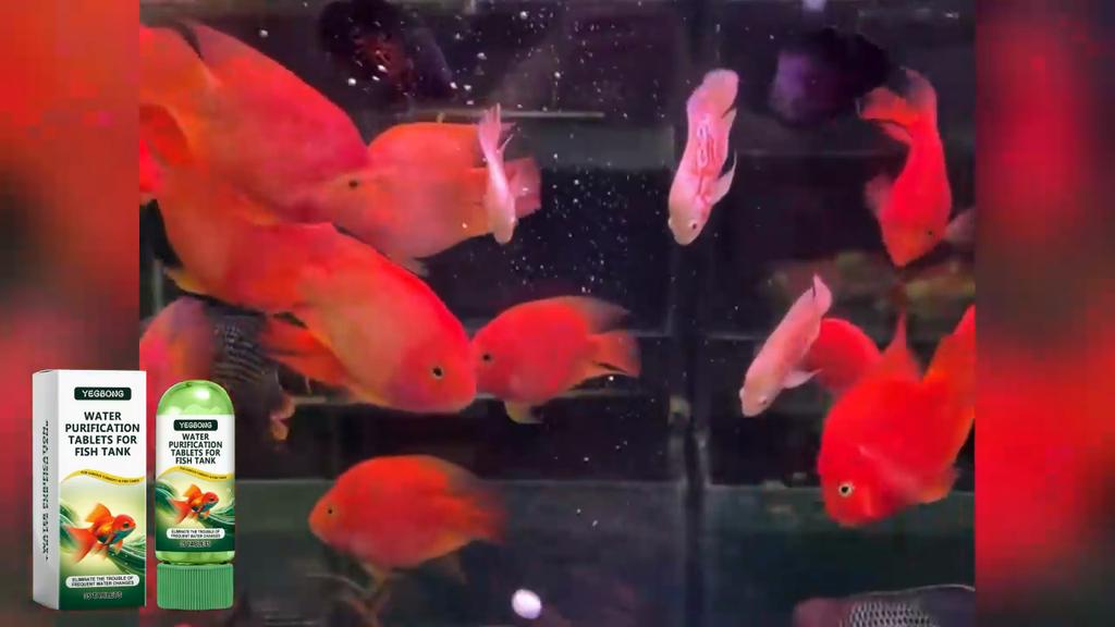Yegbong Fish Tank Water Purification Tablet Water Quality Special Cleaning Deodorizing Algae Stain Removing Sludge Clear Fish Pond