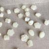 Natural Horseshoe Shell Beads For DIY Necklace Bracelet Earrings Jewelry Making