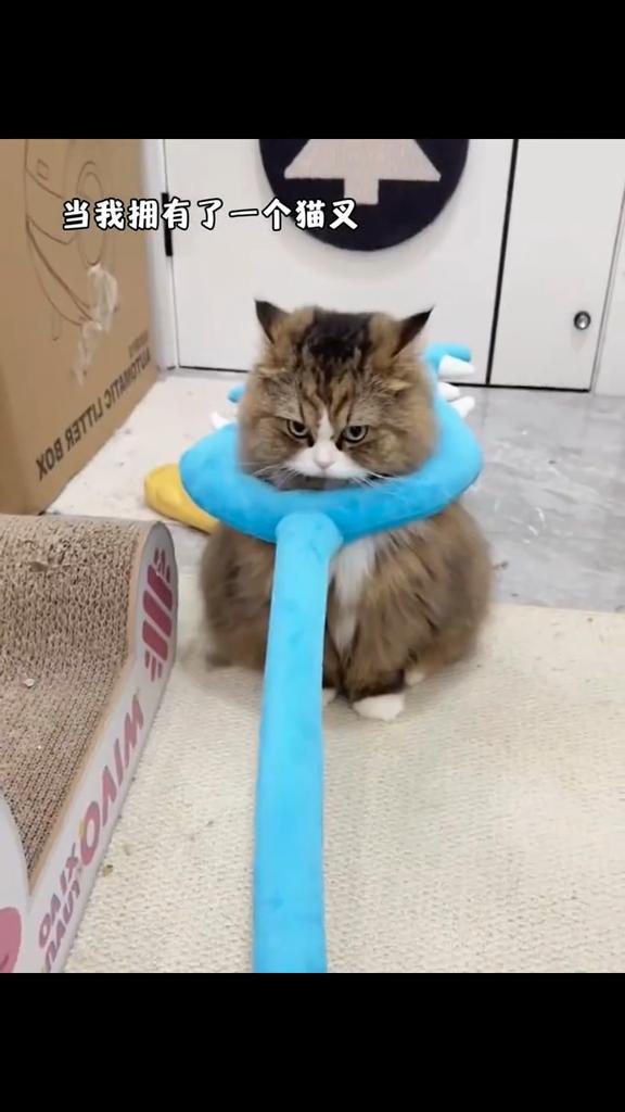 Jucărie de pluș pisică stick cruciadă adult zgârieturi pisică furculiță jucărie de pluș 70cm