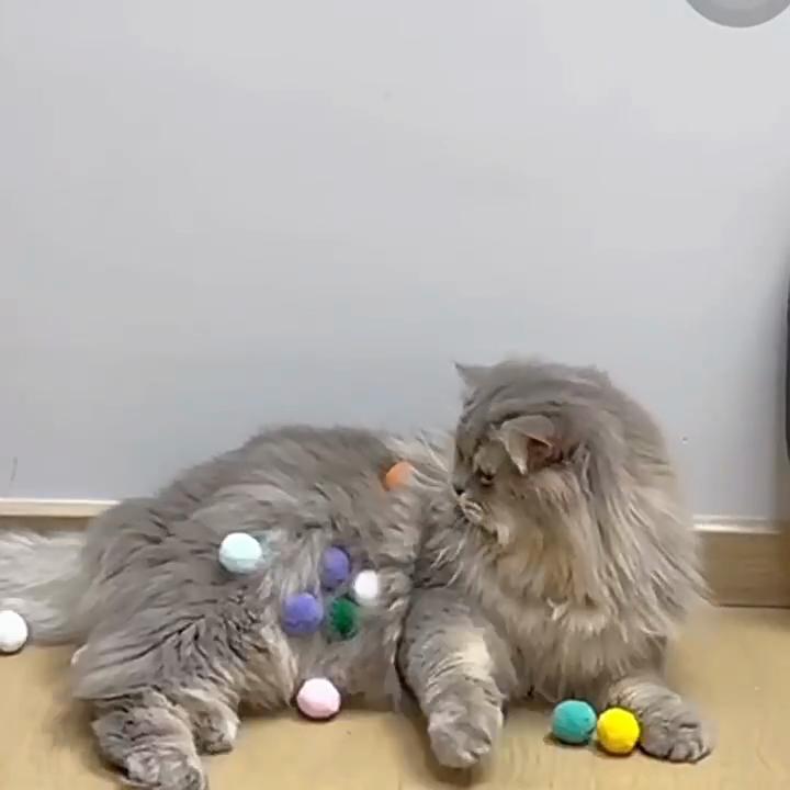 Cat Toys Self-Hi Mute Ball Plush Elastic Cat Toy Play Resistant Teeth Grinding Soft Cat Toy
