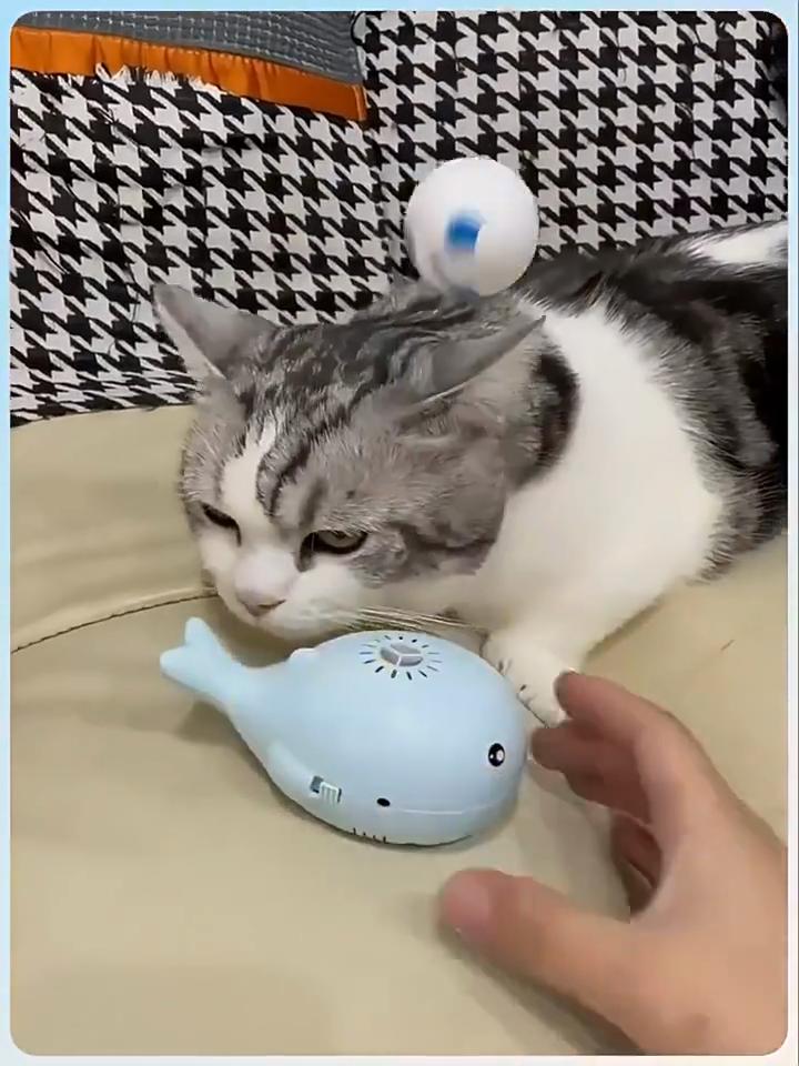Whale Suspended Cat Toys Electric Cat Temptation Artifact Pet Products Educational Consumption Stamina Suspension Ball
