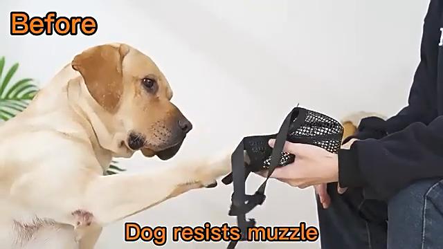 Release Buckle Pet Mouth Cover Safe Wearable Dog Anti-eating Face