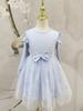 Girls Blue Castle Print Tulle Dress Kids Ruffle Long Sleeve Princess Dress