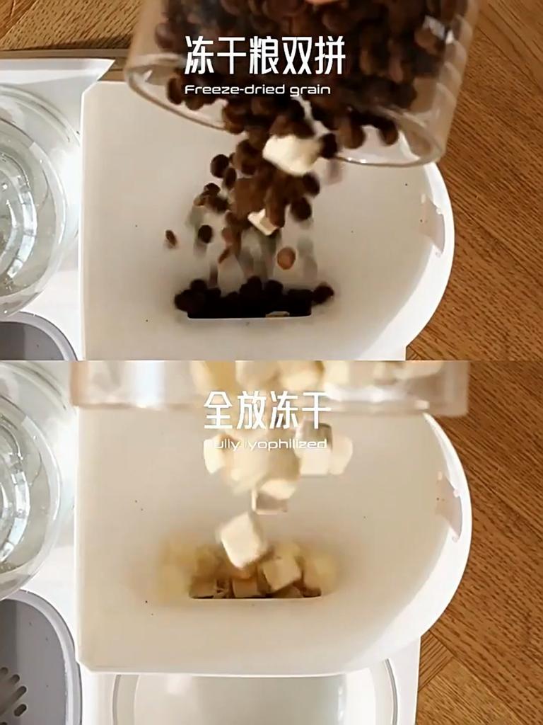 Krmení koček krmítko na vodu miska pro psy miska pro kočky hladký přísun jídla a vody dva v jednom dávkovač vody miska pro kočky potřeby pro domácí mazlíčky