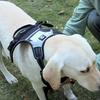 Hundegeschirr mit reflektierendem und No-Pull-Design für kleine bis XL-Hunde