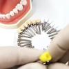 Dental Polish Brush Set Dental Prophy Polishing Brush Flat and Tapered Polisher Bowl Nylon Teeth Whitening Material