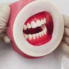 Écarteur dentaire en Latex, barrage en caoutchouc, ouvre-bouche pour lèvres et joues, pour le blanchiment des dents, écarteur orthodontique jetable