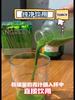 High-quality Barley Wakaba Powder Fruit and Vegetable Powder Meal Replacement40g