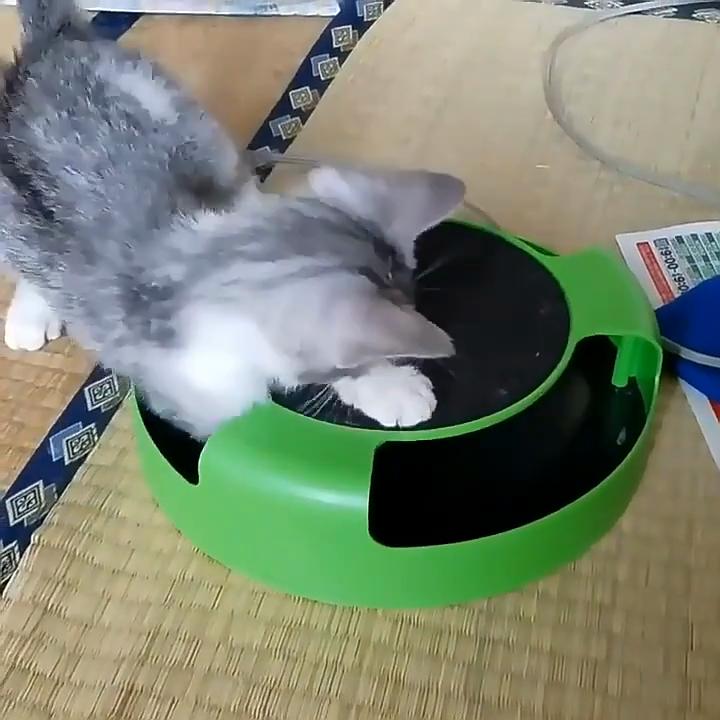 Interaktives Katzen-Drehteller-Spielzeug mit Puzzle-Vergnügungsplatte, Top-Katzenkratzbrett und lustiger Maus, Baby-Katzenspielzeug
