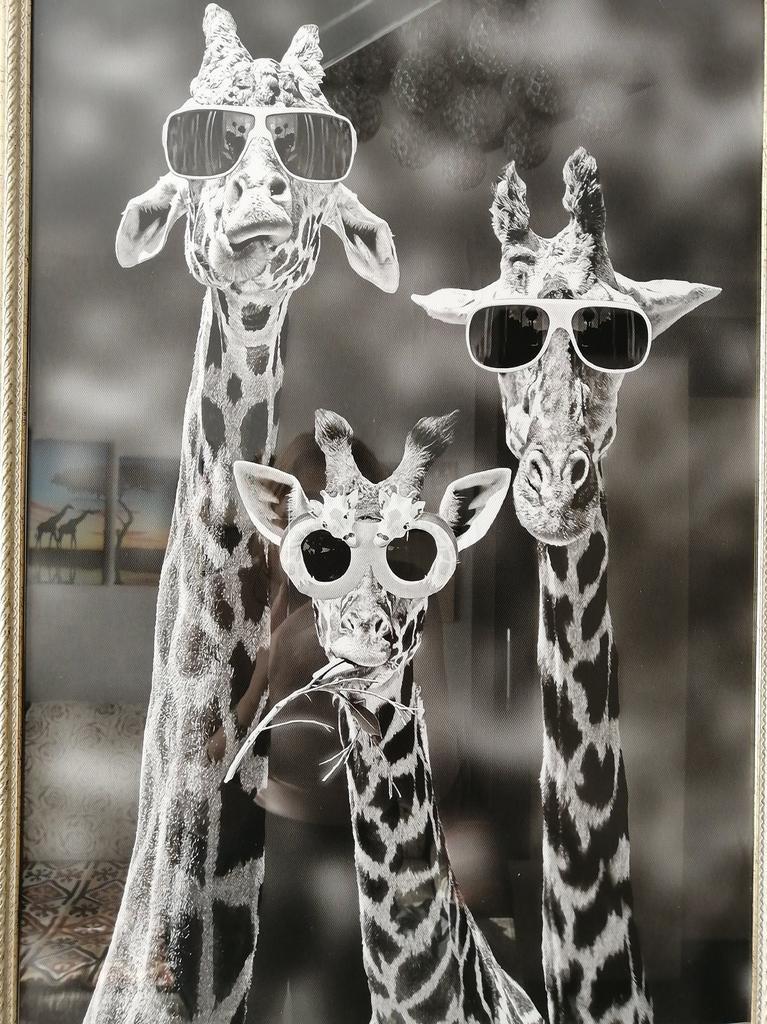 Stampa su tela Scuro Giraffe Portrait verticale 1:2 su