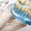 1pc Dental Standard Tooth Model Orthodontic Model for Patient Communication Dental Study Clinic Model Tool