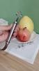 Practical Durable Kitchen Gadgets Curved Blade Sharp Edge Citrus Peeler for Kitchen Fruit Peeler