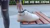 New Spring/Summer Korean Style Cowhide Hollow-Out White Sneakers for Women, Flat Shoes, Round Toe, Fashionable Casual Women's Shoes
