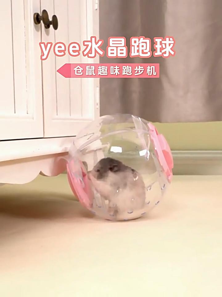 Pet Supplies Hamster Running Ball Sports Ball Small Pet Roller Carry Ball Toy Supplies