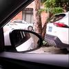 Pellicola Oscurante Termica per Auto – Protezione UV, Privacy, Antischeggiatura, Tinta Solare per Vetri Anteriori e Laterali