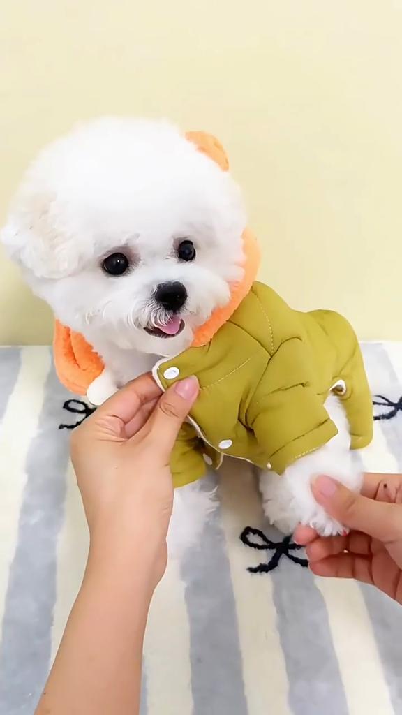 Cotton Dog Coat with Bear Ears Four Legged Winter Warm Pet Apparel for Teddy Small Breed Dogs Cold Weather Outfit