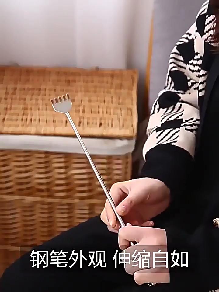 Stainless Steel Telescopic Pen Style Scratch Scraper