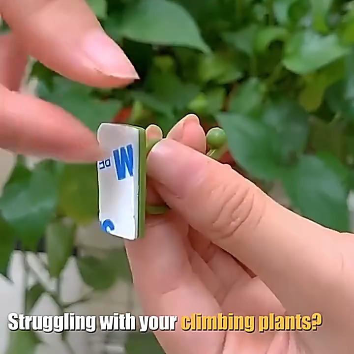 10Pcs/Set Saving Space Plant Clip Drill Free Flexible Climbing Wall Green Plant Fixer Vine Hook for Garden
