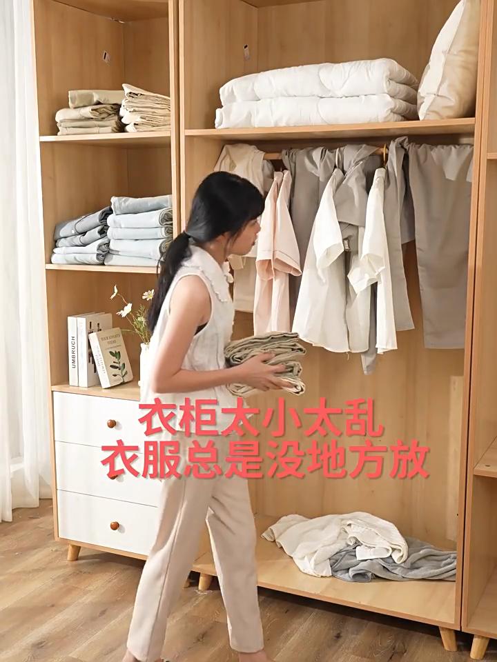 Wardrobe Hanging Storage Bag Cabinet Organizer For Pants Socks T-Shirt Underwear Organizer Hanging Closet Organizer