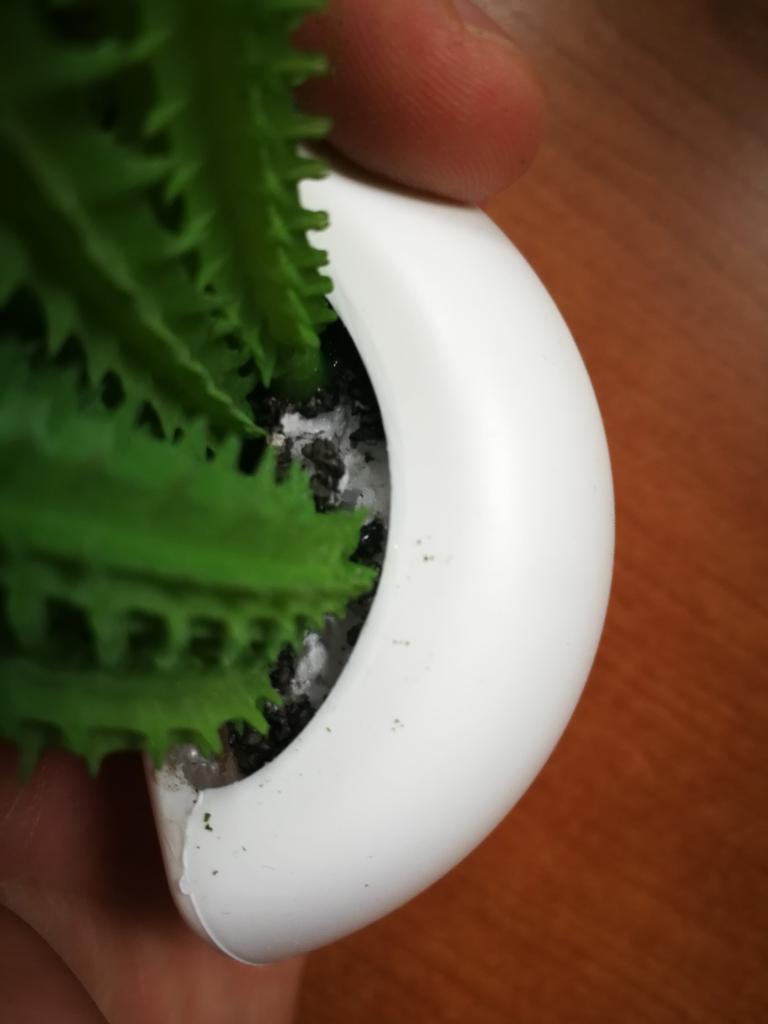 6 Calamite Da Frigo Con Piante Grasse – Magnetti Carini Per Decorazione Casa – Adesivi Magnetici Con Messaggio – Bianco