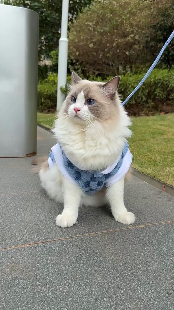 Winter Fleece Pet Vest Warm Cold Weather Wear Solid Color Cats Dogs Apparel Soft Comfortable Outdoor Clothing for Puppy Small Medium Dog Cat
