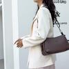Solid Color Shoulder Bag Women's Bag Large Capacity Small Square Bag Commuter Crossbody Bag