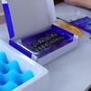 Magnetisches Schachspiel, Kampfschach-Brettspiel mit Magneteffekt, pädagogisches Damespiel, interaktives Eltern-Kind-Spielzeug, Partyzubehör