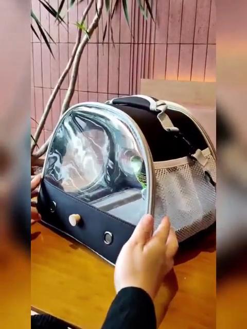 Bird Travel Carrier Cage Halinfer with Stand Perch and Mat in Green Color for Small to Medium Parakeet Budgies Parrot Cockatiel
