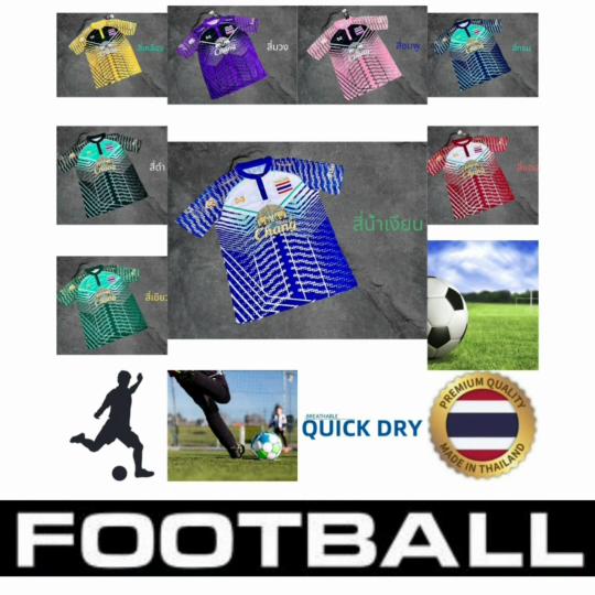 THAILAND National Football Soccer Training JERSEY Quick Dry Shirt Mandarin Collar Polyester Short Sleeve Unisex Men Women Uniform Elephant Logo