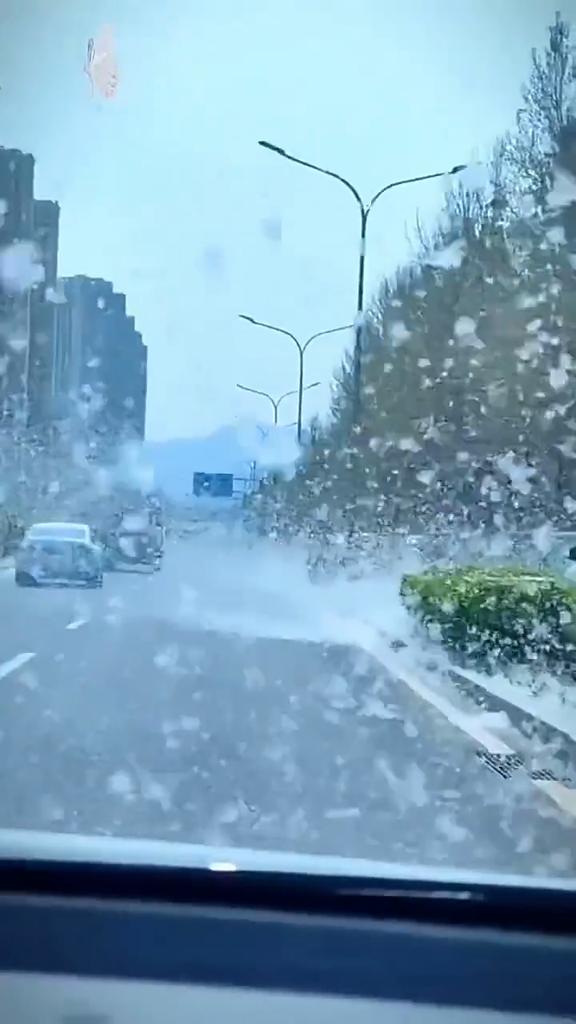 Rete Paraproiettili Anti Insetti e Sassi Universale per Griglia Anteriore Auto, Radiatore, Condensatore