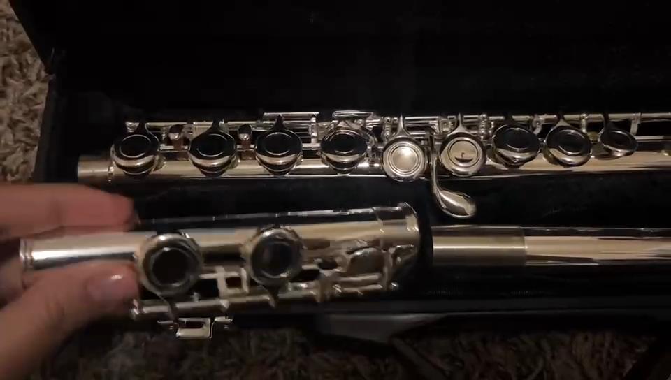 AUROSUS 16klávesová sada s krásně vyřezávanými klávesami, měřítko C, uzavřený otvor, nikl, patinovaná, hudební nástroj pro začátečníky