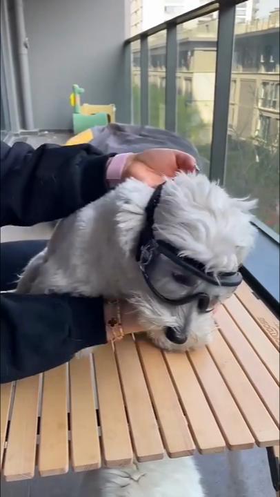 Pet Dog Goggles Waterproof, Windproof, Sunscreen, and UV Resistant Glasses