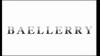 Baellerry Women's Fashion Long Purse Multifunctional Clutch Bag Buckle Wallet Four-leaf Clover Cell Phone Bag Pu Leather Coin Purse Card Holder