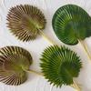 Artificial Leaf No-Maintenance Long-Lasting Freshness Realistic Fan-Shaped Leaves High-Simulation Texture Fake Tropical Leaves Home Decor