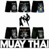 Vintage Retro Skull Pentagram Devil Demon Satan Ghost Boxing Muay Thai Kickboxing Shorts 3D Print Training Unisex Men Women Fitness Gym Sport Workout