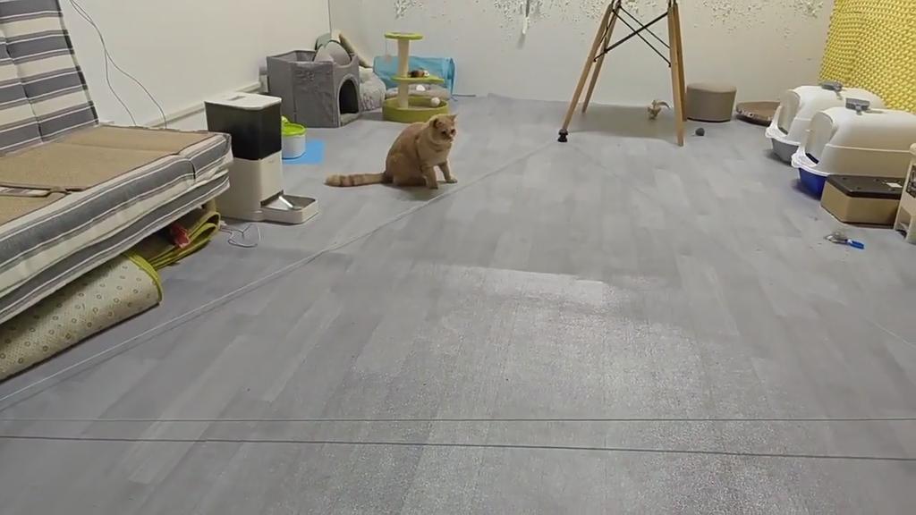 Ny løpende katteleke katte vekttap artefakt fjær interaktiv katteleke fjernkontroll lydleke
