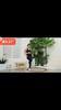 High Waist Plus Size Yoga Leggings XL-5XL Nude Athletic Tights For Running Fitness Casual Wear