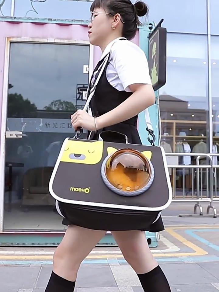 Transportín para gatos aprobado por aerolínea, cómodo bolso de viaje para mascotas, bolso de hombro para gatos pequeños