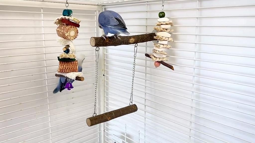 Parrot Stand Bite Resistant Flexible Disassembly Natural Materials Climb And Play Perched Puzzle Fitness Portable Bird Perch Parrot Stand Stick for
