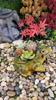 Creative Miniature Garden Planter With Cute Frog Figurine For Home Decor And Giftgiving