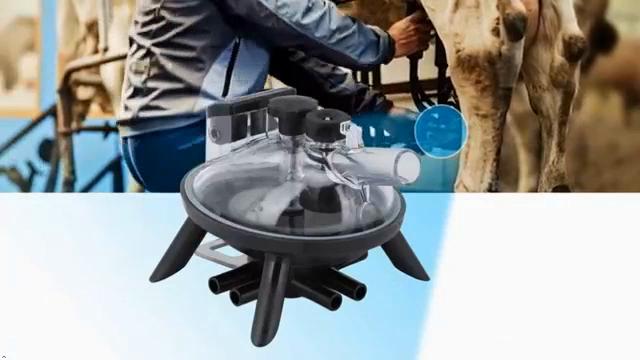 240cc Milking Claw For Cow Milking Machine - Replacement Milk Collector Accessory