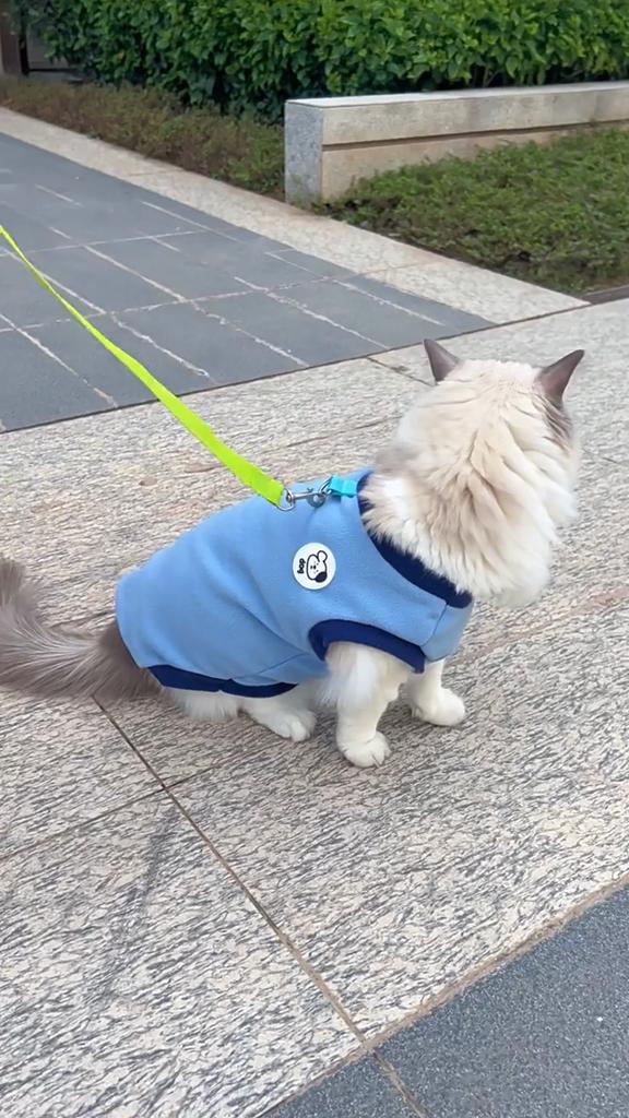 Winter Pet Vest Colar Fleece Pet Clothing for Small Medium Dogs Cats Outdoor Wear Puppy Warm Outfit