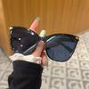 Stylish Personality Classic Street Style Sunglasses Women Men For Daily Life Street-Photography Musical Festival Eyeglasses