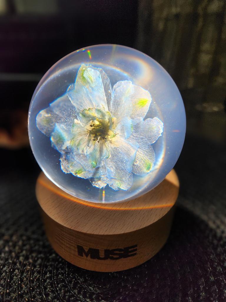 Buy BTS Jimin MUSE Paper Weight at affordable prices — free