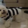 Striped holiday thickened pet supplies kitten puppy outing dog walking dress up winter heattech dog clothes