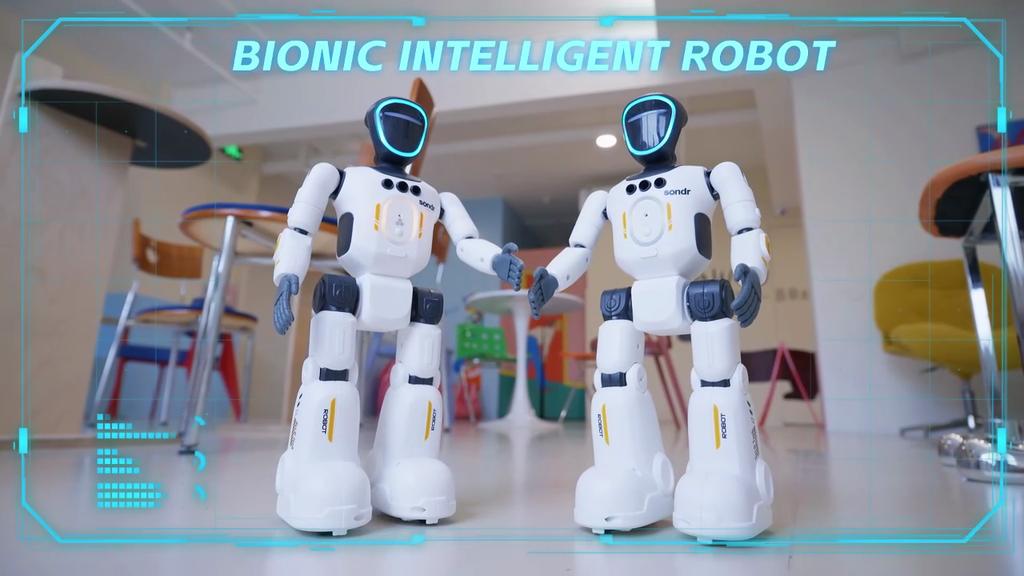 Remote Controll Robot Smart Intelligent Dancing RC Robot Intelligent Robot for Children RC Robot Toy Gift for Kid R40