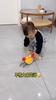 Crab Electric Educational Toy That Can Crawl, Move, and Escape To Attract Baby Toys